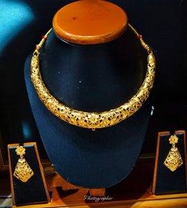 Fulpata Hasuli